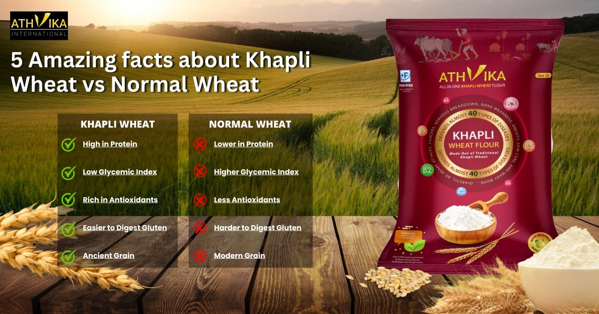 Khapli Wheat Vs Normal Wheat